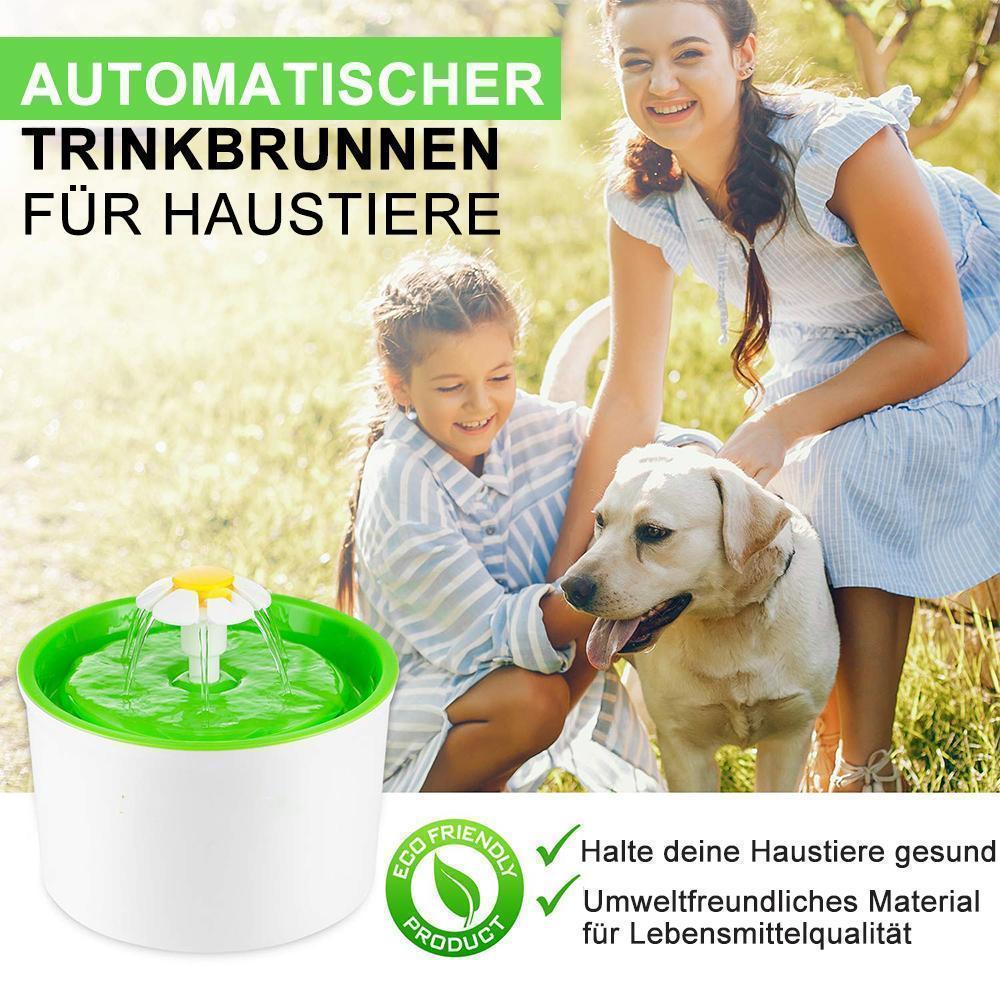 Blumenwasserspender für Ihre Katze