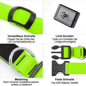 Sicherheit LED Hunde Halsband, ohne Batterie