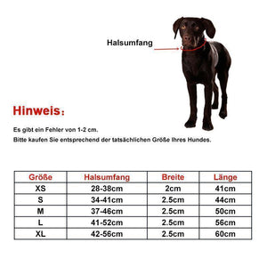 Sicherheit LED Hunde Halsband, ohne Batterie