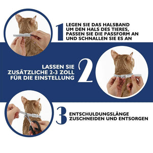 Flöhen- und Zeckenhalsband für Katzen