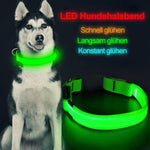 Sicherheit LED Hunde Halsband, ohne Batterie