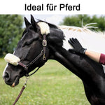 Fellpflege-Handschuh für Pferde, Hunde und Katzen (1 Paar)