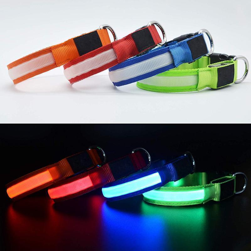 Sicherheit LED Hunde Halsband, ohne Batterie