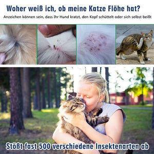 Flöhen- und Zeckenhalsband für Katzen