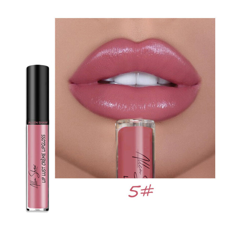 Cremiger Make-up wasserfester Lipgloss