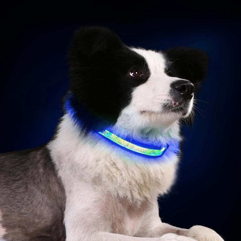 Sicherheit LED Hunde Halsband, ohne Batterie