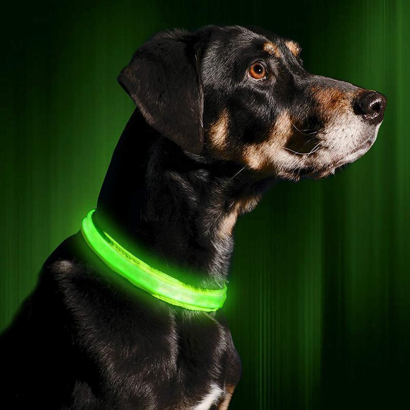 Sicherheit LED Hunde Halsband, ohne Batterie